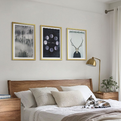 Billedvæg inspiration Skovlandskab tåge måne hjorte kranium
