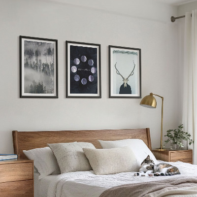 Billedvæg inspiration Skovlandskab tåge måne hjorte kranium