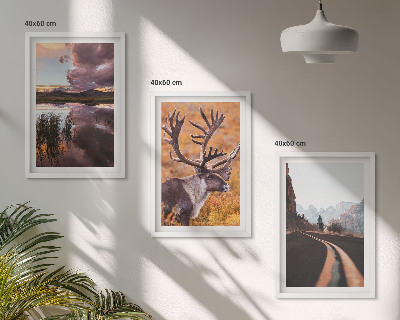 Billedvæg inspiration Bjerglandskaber med rensdyr