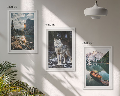 Billedvæg inspiration Bjerge søer ulv natur