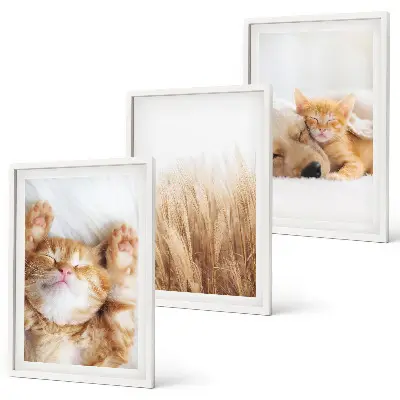 Triptyk med ramme søde dyr med katte og hunde i boho-stil