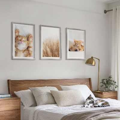 Triptykon billeder med ramme Søde dyr katte hunde boho
