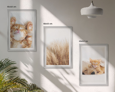 Triptykon billeder med ramme Søde dyr katte hunde boho