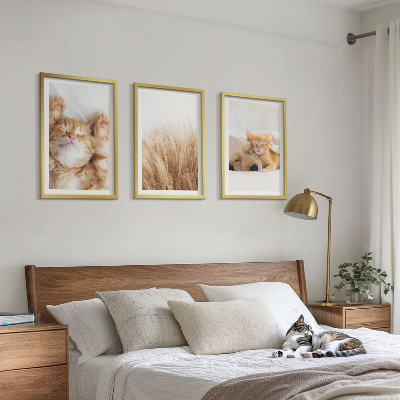 Triptykon billeder med ramme Søde dyr katte hunde boho