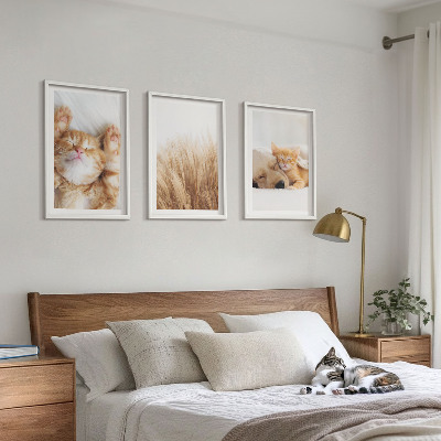 Triptykon billeder med ramme Søde dyr katte hunde boho