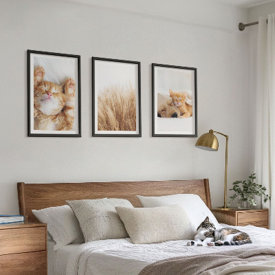 Triptykon billeder med ramme Søde dyr katte hunde boho