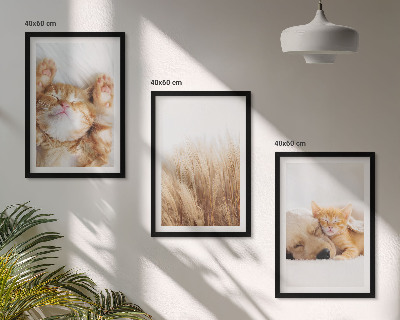 Triptykon billeder med ramme Søde dyr katte hunde boho
