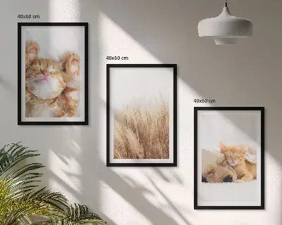 Triptyk med ramme søde dyr med katte og hunde i boho-stil