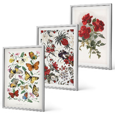 Billedvæg inspiration Sommerfugle blomster røde roser