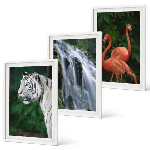 Billedsæt til soveværelset med motiv af tiger, vandfald og flamingoer i naturen