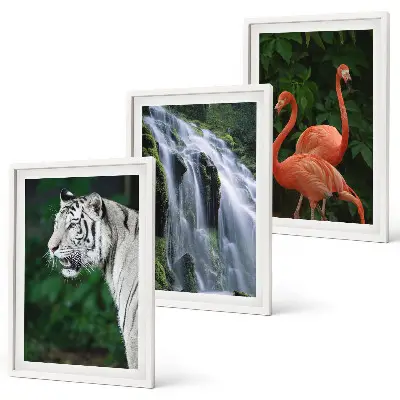 Billedsæt til soveværelset med motiv af tiger, vandfald og flamingoer i naturen