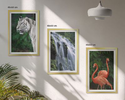Billedsæt til soveværelset Tiger vandfald flamingoer natur