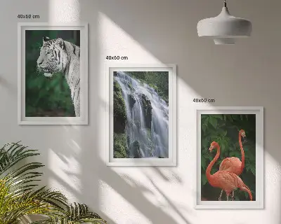 Billedsæt til soveværelset med motiv af tiger, vandfald og flamingoer i naturen
