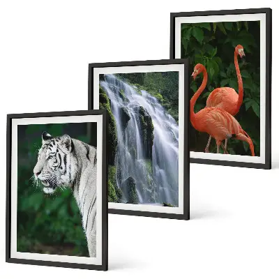 Billedsæt til soveværelset med motiv af tiger, vandfald og flamingoer i naturen