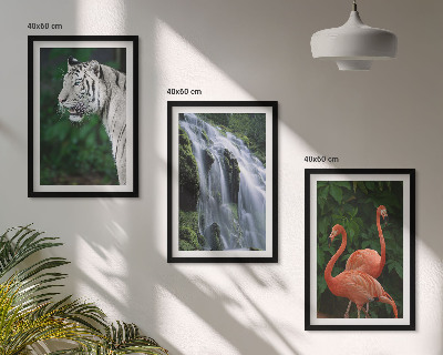Billedsæt til soveværelset Tiger vandfald flamingoer natur
