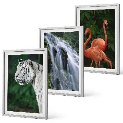 Billedsæt til soveværelset med motiv af tiger, vandfald og flamingoer i naturen