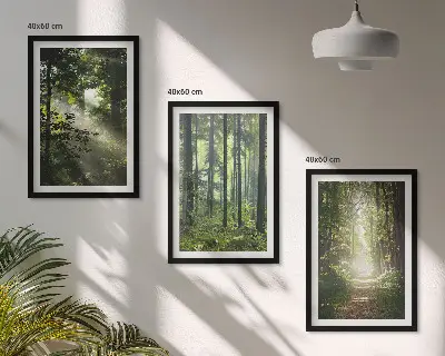 Grønne skove med lysstråler triptykon med ramme