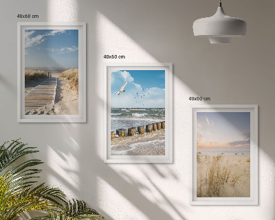 Triptykon billeder med ramme Strand, sand, bølger, himmel, fugle