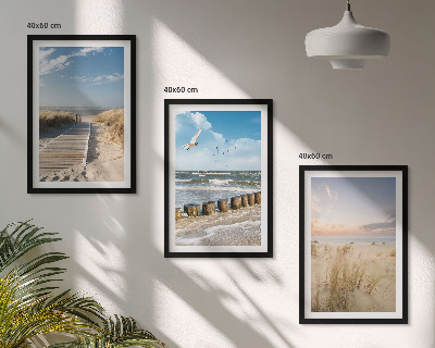 Triptykon billeder med ramme Strand, sand, bølger, himmel, fugle