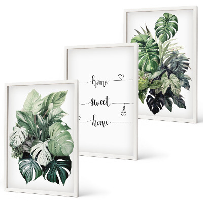 Billedvæg inspiration Akvarel Monstera blade