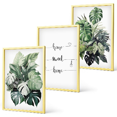 Billedvæg inspiration Akvarel Monstera blade