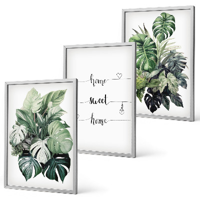 Billedvæg inspiration Akvarel Monstera blade