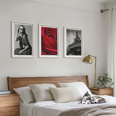 Triptykon billeder med ramme Parisisk dame med Eiffeltårne-briller