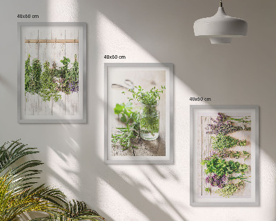 Triptykon billeder med ramme Urter planter til køkkenet