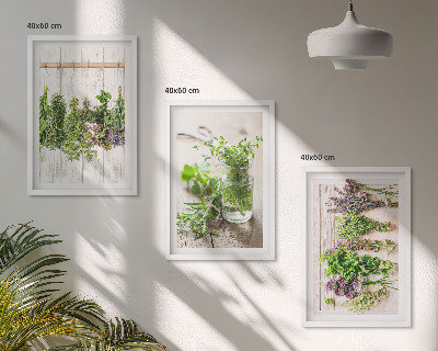 Triptykon billeder med ramme Urter planter til køkkenet