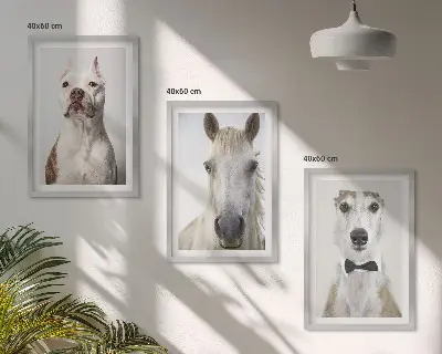 Billedvæg med portrætter af hunde og heste elegante motiver til din væg