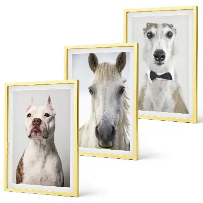 Billedvæg med portrætter af hunde og heste elegante motiver til din væg