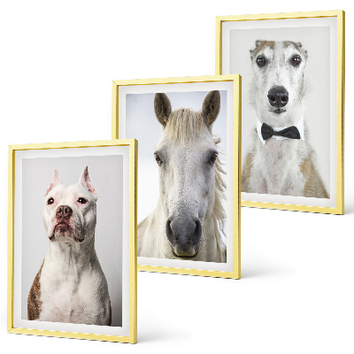 Billedvæg inspiration Elegante portrætter af hunde og heste
