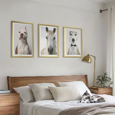 Billedvæg med portrætter af hunde og heste elegante motiver til din væg