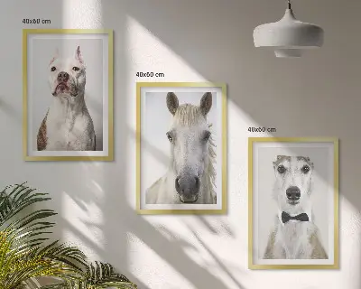 Billedvæg med portrætter af hunde og heste elegante motiver til din væg