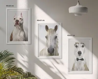 Billedvæg med portrætter af hunde og heste elegante motiver til din væg