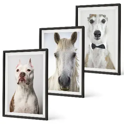 Billedvæg med portrætter af hunde og heste elegante motiver til din væg