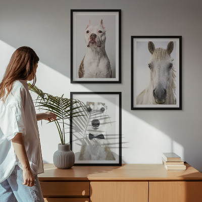 Billedvæg inspiration Elegante portrætter af hunde og heste