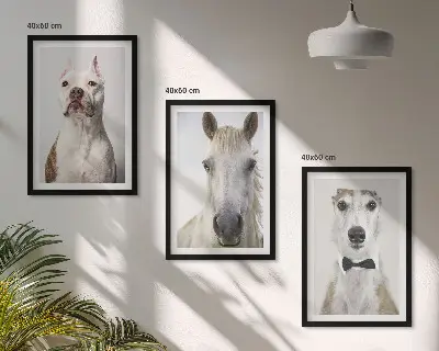 Billedvæg med portrætter af hunde og heste elegante motiver til din væg