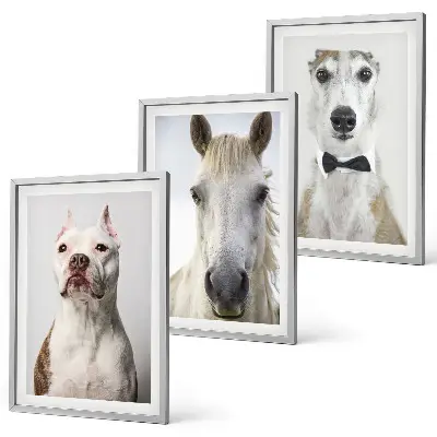 Billedvæg med portrætter af hunde og heste elegante motiver til din væg