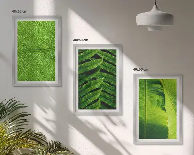 Triptykon med makrofotografering af tropiske blade med ramme