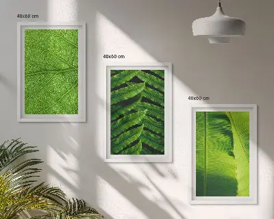 Triptykon med makrofotografering af tropiske blade med ramme