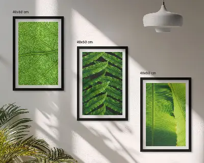 Triptykon med makrofotografering af tropiske blade med ramme