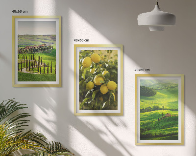 Triptykon billeder med ramme Italiensk citrus og bakker