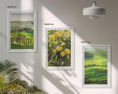 Triptyk med italiensk citrus og bakker billeder med ramme