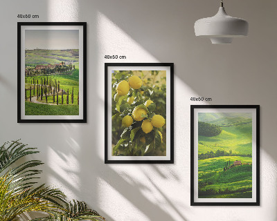 Triptykon billeder med ramme Italiensk citrus og bakker