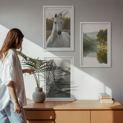 Billedvæg inspiration Hvide heste flod natur