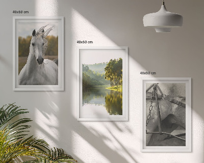 Billedvæg inspiration Hvide heste flod natur