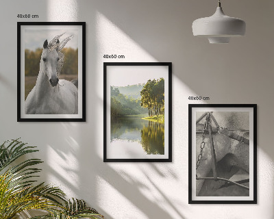 Billedvæg inspiration Hvide heste flod natur