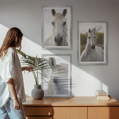 Billedvæg inspiration Hvide heste i naturen