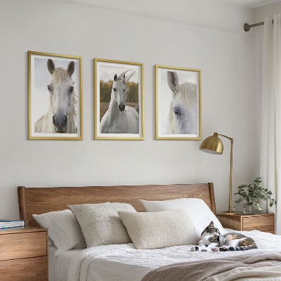Billedvæg inspiration Hvide heste i naturen